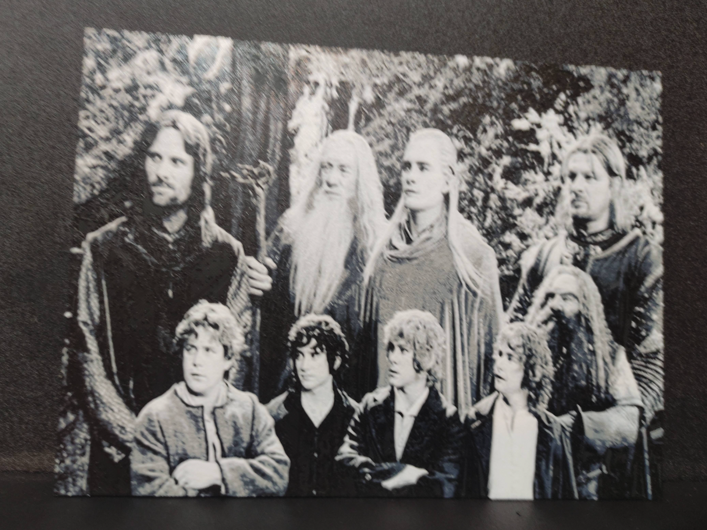 Fellowship of the Ring Wall Art – 3D Printed Lord of the Rings Fantasy Decor