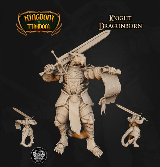 Dragonborn Knight | Kingdom of Tiradom | The Master Forge